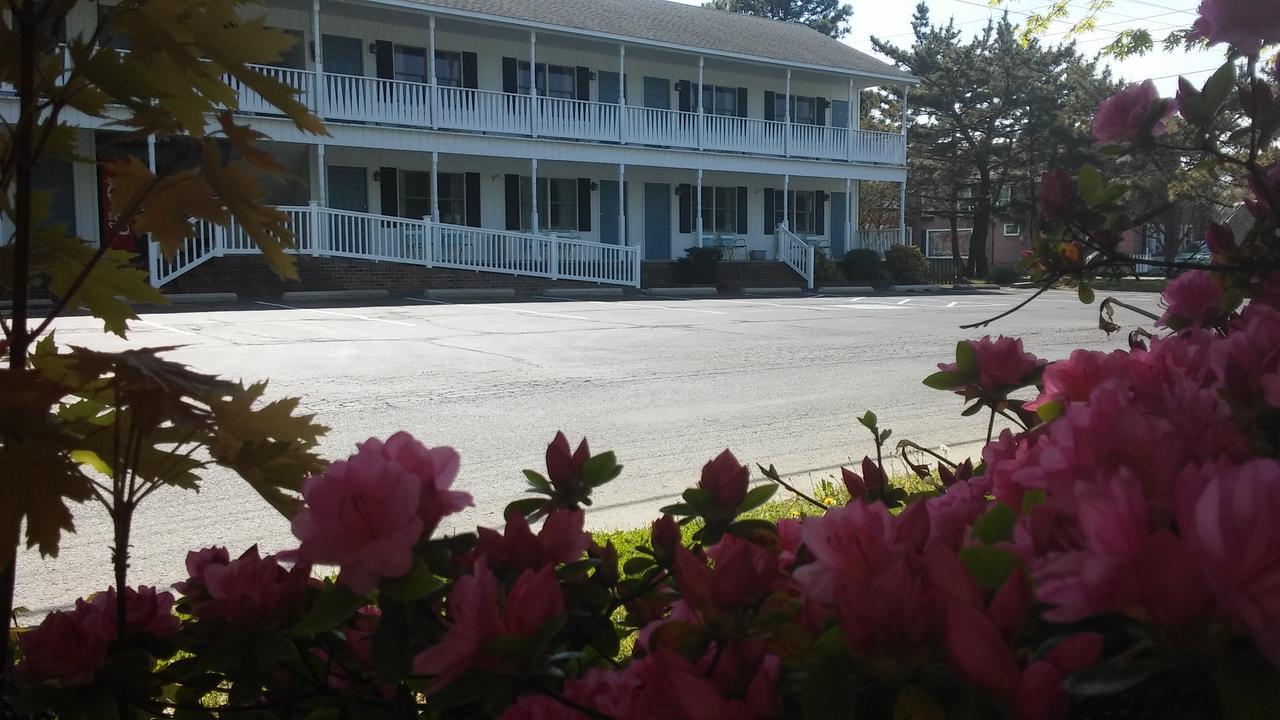 Sea Shell Motel Chincoteague Buitenkant foto