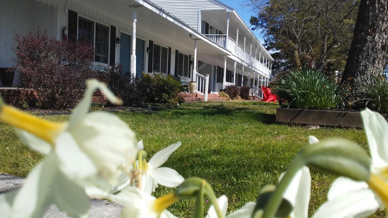 Sea Shell Motel Chincoteague Buitenkant foto
